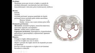 SISTEMA DIGESTÓRIO PARTE 4  PERITÔNIO [upl. by Kurtzman]