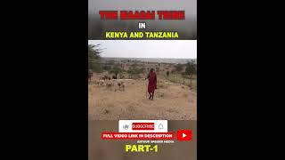 The Masai Tribe Guardians of East African Heritage youtubeshorts [upl. by Yrad]