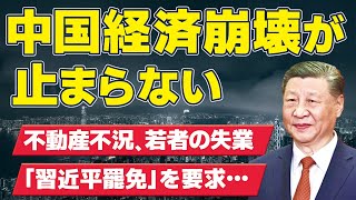 【中国経済崩壊】不動産販売はピークの半分に。若者の失業率上昇。習近平罷免を要求。（畠山元太朗）【言論チャンネル】 [upl. by Longmire]