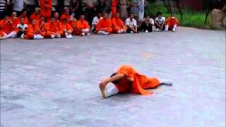 Shaolin Kung Fu  Shaolin Tongzigong [upl. by Ayidan268]