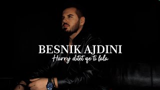 Besnik Ajdini  Harroj ditët që ti fala COVER [upl. by Eitten908]