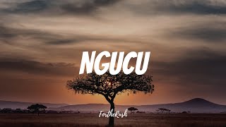 NGUCU   Kikuyu Folk song   Kenyan Afrobeat  Prod by FTR [upl. by Sedgewinn]