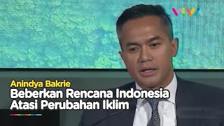 Anindya Bakrie Beberkan Upaya RI Hadapi Perubahan Iklim di COP28 [upl. by Cornelie943]