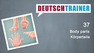 German for beginners A1A2  Deutschtrainer Body parts [upl. by Tremaine]