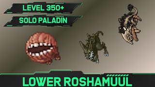 Lower Roshamuul  Solo Paladin Hunt 350 [upl. by Hurlee]