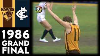 1986 VFL Grand Final  Hawthorn Vs Carlton Extended Highlights [upl. by Brote138]