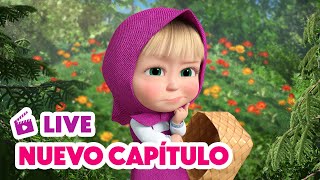 🔴 LIVE 🐻👧 Masha y el Oso 💥 NUEVO CAPÍTULO 🍓🐸 Bayas Traviesas 🎬 Masha and the Bear [upl. by Feodora]