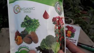 Organic Blood Meal Fertilizer  Organic Gardening Fertilizers  How to Add Nitrogen Urduhindi [upl. by Ydneh]