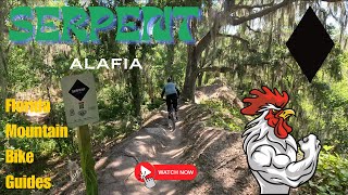 Serpent Alafia River State Park  Florida Mountain Biking  Florida Mountain Bike Guide  FMBG [upl. by Alam]