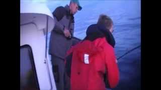 lofoten seafishing norway lofoten zeevissen noorwegen part 1 [upl. by Bick678]