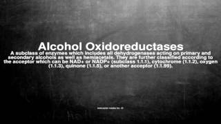 Medical vocabulary What does Alcohol Oxidoreductases mean [upl. by Akyeluz]