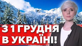 ВЖЕ в Грудні будуть Рокові ЗМІНИ для Українців озвучили список до чого готуватися [upl. by Noseyt546]