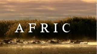 AFRICA [upl. by Brewster]