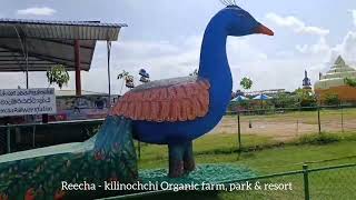 reechaorganicfarm  park  resort  Kilinochchi [upl. by Becka604]