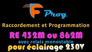 CÂBLAGE ET PROG RE432M et RE862M CAME avec relais monostable pour éclairage 230V [upl. by Rahal]