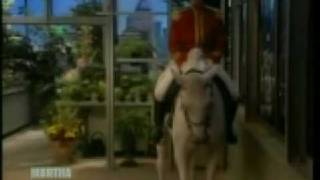 The World Famous Lipizzaner Stallions on Martha Stewart [upl. by Olathe600]