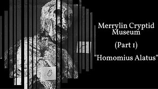 Merrylin Cryptid Museum Part 1  Homomius Alatus [upl. by Haceber]