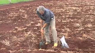 How to conduct soil test for nematodes [upl. by Agnew]