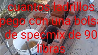 cuantos ladrillos pego con una bolsa de cemento specmix 90 libras [upl. by Aicertal137]