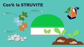 Presentazione del progetto Struvite [upl. by Ofilia]