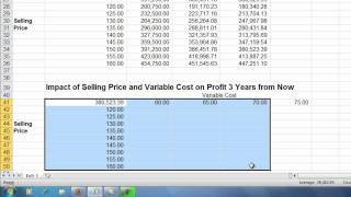 Exercise 53 Sensitivity Analysis  Two Variable Data Table [upl. by Ardyth630]