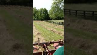 Windrowing hay with 2038r and 254 Tedder [upl. by Janet]