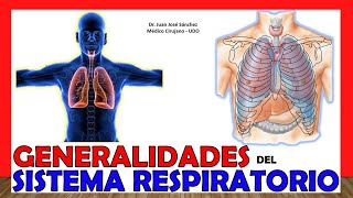 🥇 APARATO RESPIRATORIO en 18 Minutos ¡Fácil y Sencillo [upl. by Nolava859]