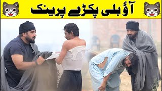 Billi Best Prank  Velle Loog Khan Ali  Sahara Bano Khan Ali [upl. by Boyse]