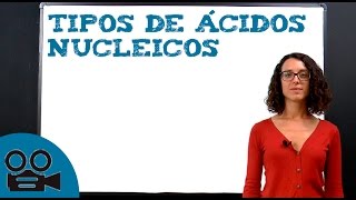 Ácidos nucleicos  tipos y clasificación [upl. by Heins298]