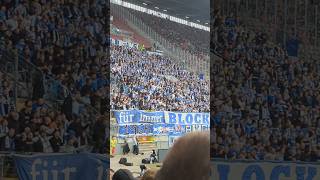 Wir wollen Blau Weiß 📢🏟️ fcm fcmagdeburg magdeburg ultras fans 2bundesliga sachsenanhalt [upl. by Zahavi]