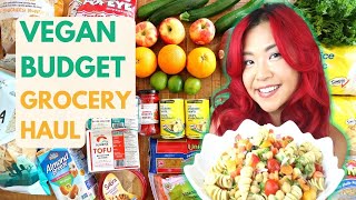 Budget Friendly VEGAN GROCERY HAUL 2022 [upl. by Ermanno]