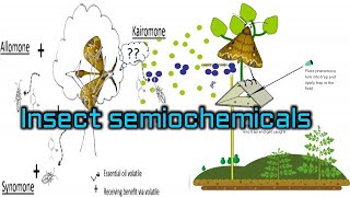 Insect semiochemicals Entomology class English [upl. by Cia]