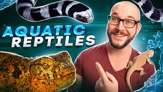 Top 5 BEST Pet Aquatic Reptiles [upl. by Jennica]