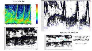 Saturn Alien Speech Part 2  Spectrograph Analysis [upl. by Eivets]