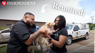 Missing dog found 350 miles away from home reunited with owner [upl. by Arama]