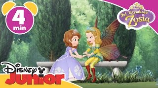 Jej Wysokość Zosia  Skrzydła Amber Oglądaj w Disney Junior [upl. by Nirok]