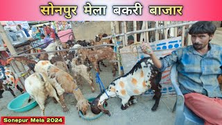 Sonepur बकरी Bazar  sonepur bakri market [upl. by Sly]