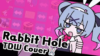 ラビットホール Rabbit Hole Thirty Dollar Website Cover [upl. by Kleon98]