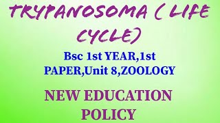 Trypanosoma  Life cycle and PathogenicityBsc 1st Year1st paperUnit 8ZOOLOGY [upl. by Goulet142]