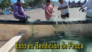 Así despescamos las redes después de un buen día de pesca [upl. by Leroy]