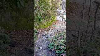 Hidden gorge Tuxbach in Finkenberg ☀️ Easy trail 🥾 [upl. by Animas122]