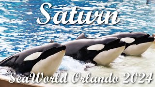 seaworld orlando  november 2024 [upl. by Oznarol]