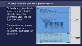 Digital Certificates and Signatures [upl. by Doggett473]