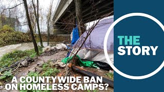 Multnomah County commissioner floats new countywide homeless camping ban [upl. by Shaya]