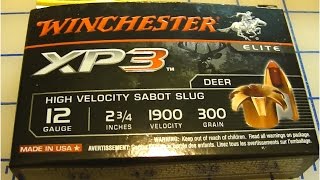 Winchester XP3 12GA Slug 300 Grain Gel Test [upl. by Sanburn]