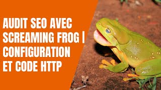 Audit SEO avec Screaming Frog  Configuration et code HTTP [upl. by Alliw]