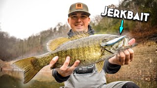 Jerkbait Fishing For Big Smallmouth  Lake Cumberland [upl. by Valera689]