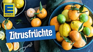 Zitrusfrüchte Rezepte  Leckere Rezeptideen mit Orangen Zitronen Limetten amp Co [upl. by Soalokin190]