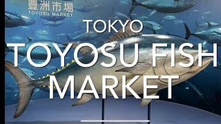 Toyosu New Fish Market lapinsillantarkastaja [upl. by Enitsugua]