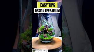 Easy tips Design terrarium terrariumdesign design [upl. by Neri442]